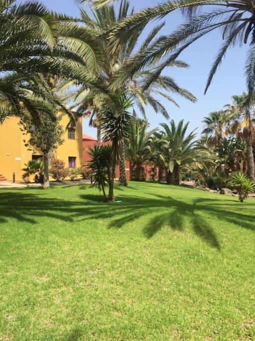 Corralejo Happy Place, Precioso Apartamento Con Piscina Екстериор снимка