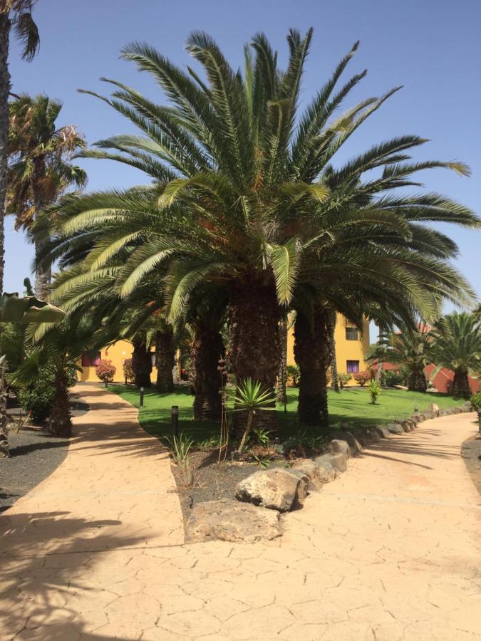 Corralejo Happy Place, Precioso Apartamento Con Piscina Екстериор снимка